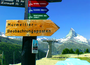 Matterhörnchen