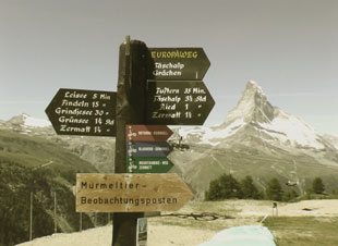 Matterhörnchen