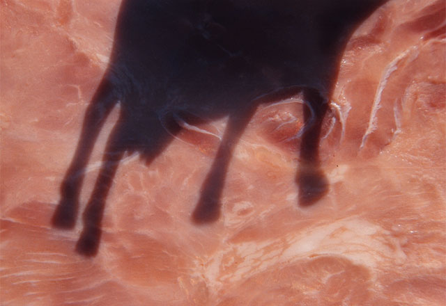 Meat-ing